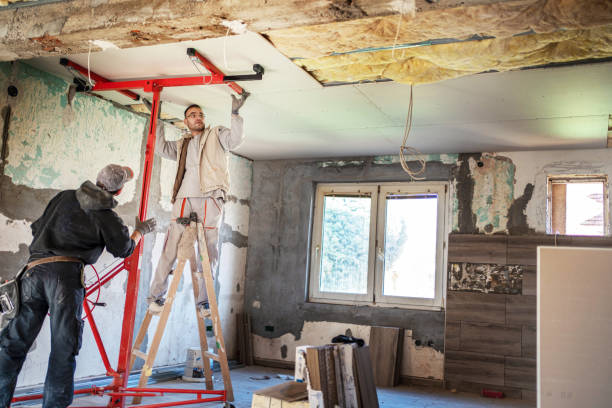 Best Attic Insulation Installation  in Clarkson Valley, MO