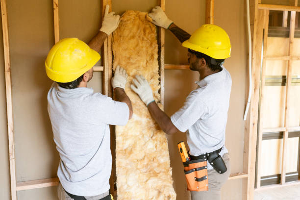 Best Insulation Contractor Near Me  in Clarkson Valley, MO