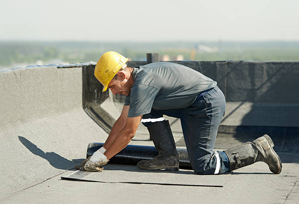 Best Insulation Removal  in Clarkson Valley, MO