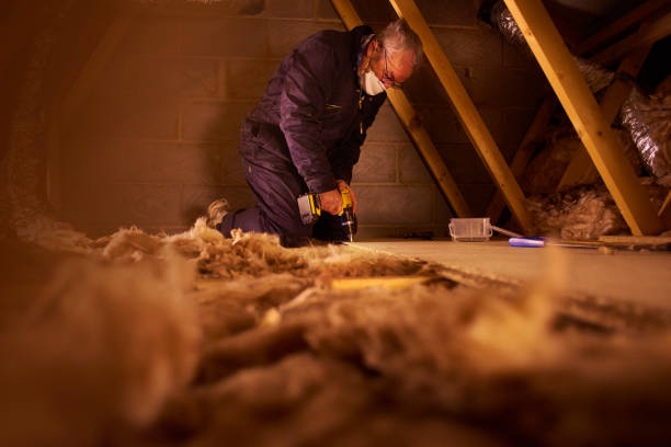Best Residential Insulation Services  in Clarkson Valley, MO